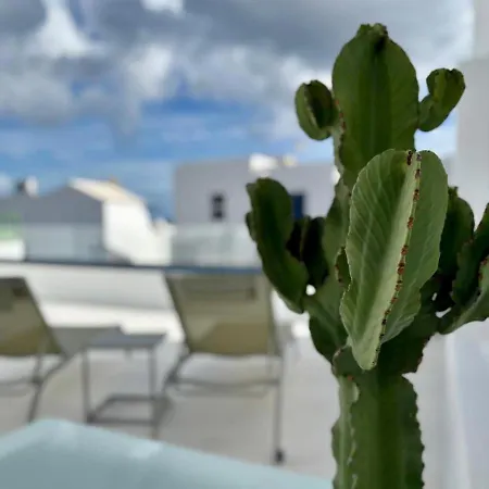 Casamujeres Apartamento Punta Mujeres