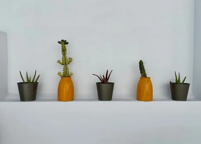 Casamujeres Apartament