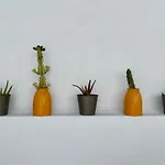 Casamujeres Apartment