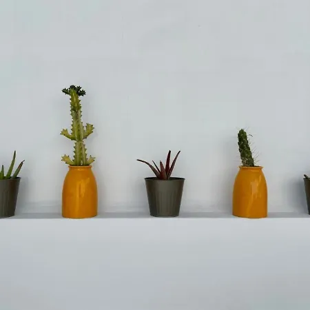 Casamujeres 아파트